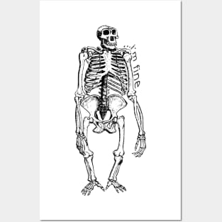 ...i'm fine - Gorilla Skeleton Posters and Art